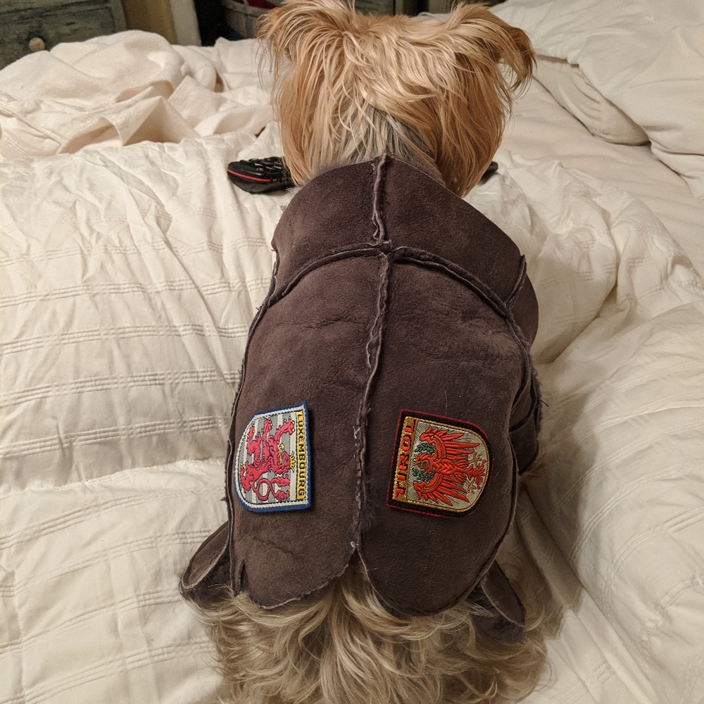 Shearling coat for small dog.